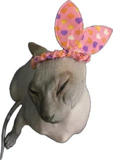 Стикер Мои Буси😍 @TgEmodziBot - 8