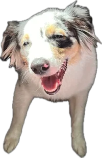 Стикер Мои Буси😍 @TgEmodziBot - 3