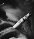 Стикер 🚬سـّೋـیگارے➋🚬
Doktoooramm@ - 9