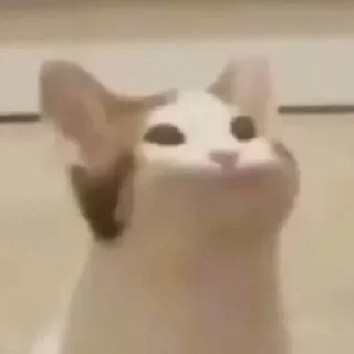 Стикер NAJIM STIKERS by @StikerYaratishbot - 7