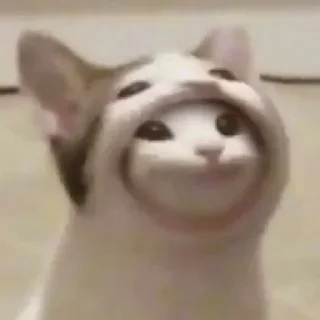 Стикер NAJIM STIKERS by @StikerYaratishbot - 1