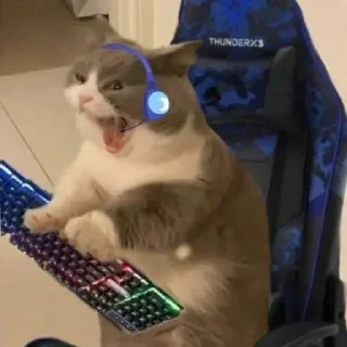 Стикер NAJIM STIKERS by @StikerYaratishbot - 3