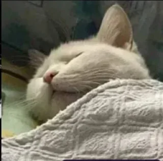 Стикер NAJIM STIKERS by @StikerYaratishbot - 10