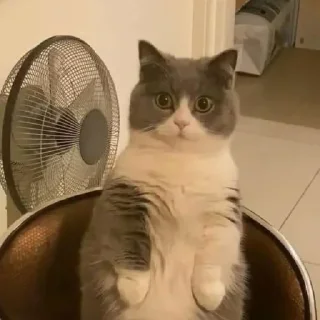 Стикер NAJIM STIKERS by @StikerYaratishbot - 8