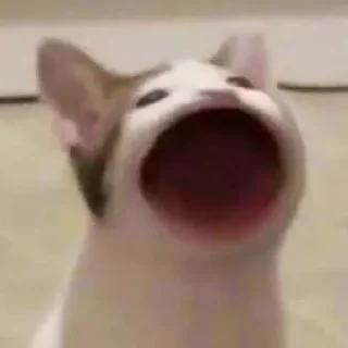 Стикер NAJIM STIKERS by @StikerYaratishbot - 5