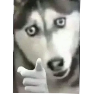 Sticker Femtoni stiqeri - 11