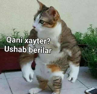 Sticker ❀ᴀʀᴍʏ❀ by @gostickerbot - 4