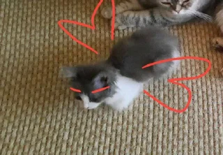 Sticker СТИКЕРЫ С ЛЮБИМЫМ КУЗЕЙ - 9