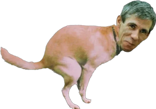 стикерпУк - 