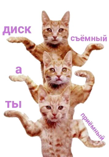 Sticker stikerpack23 - 1