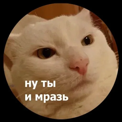 Sticker stikers_boroda - 1