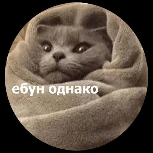 Sticker stikers_boroda - 1