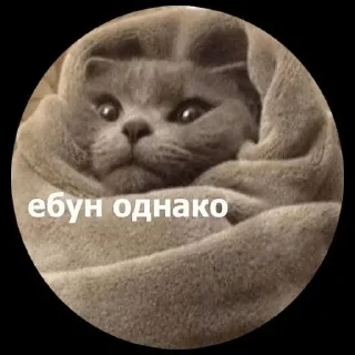 Стикер мои стикеры - 1