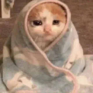 Стикер мои стикеры - 4