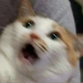 Стикер мои стикеры - 2