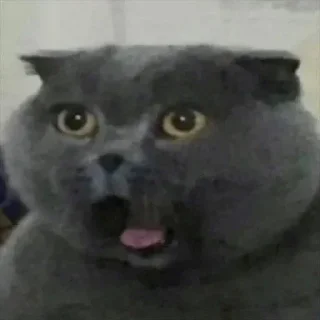 Стикер мои стикеры - 3