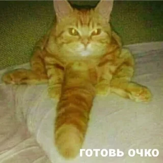 Стикер Стикерсы @TgEmodziBot - 8