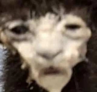 Стикер Стикерсы @TgEmodziBot - 5