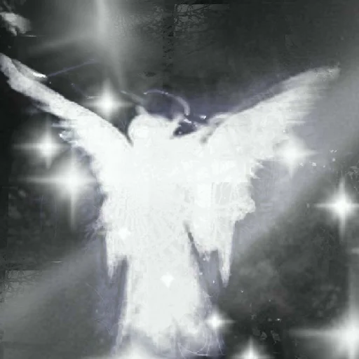 черно-белый искусство животное