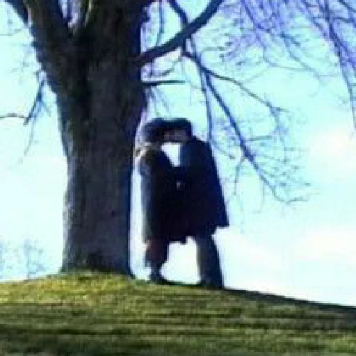 дерево на открытом воздухе трава