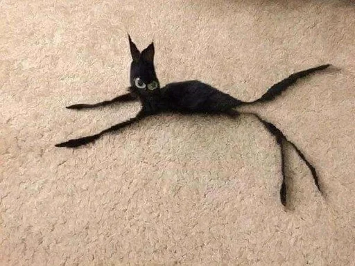 Стикер стэньте котиков вуву :: @fStikBot - 11