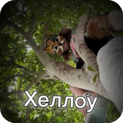 Sticker stikery_kvadrobika_by_TgEmodziBot - 1