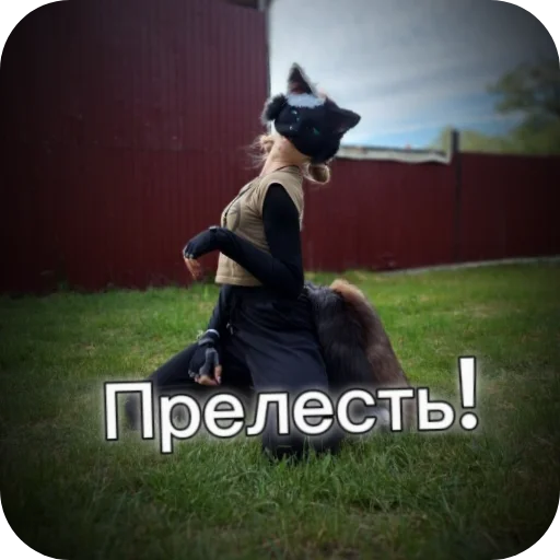 Sticker stikery_kvadrobika_by_TgEmodziBot - 1