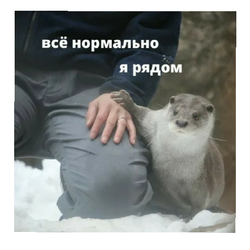 Стикер стикеры на все случаи жизни - 9