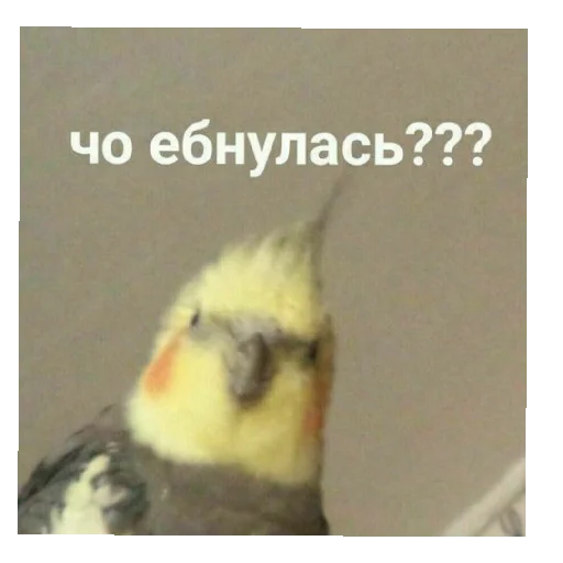 Стикер стикеры на все случаи жизни - 7