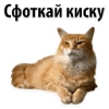 Будет секс @stikery_porno - text