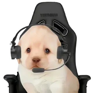 Sticker @yaziktembot <--- стикеры тут - 3