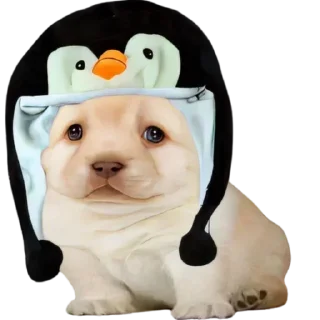 Sticker @yaziktembot <--- стикеры тут - 2