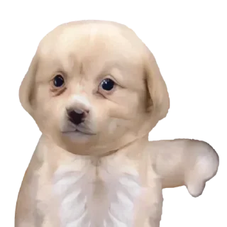 Sticker @yaziktembot <--- стикеры тут - 5