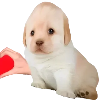 Sticker @yaziktembot <--- стикеры тут - 4