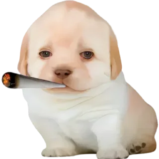 Sticker @yaziktembot <--- стикеры тут - 9