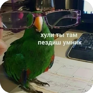 Sticker @yaziktembot <--- стикеры тут - 8