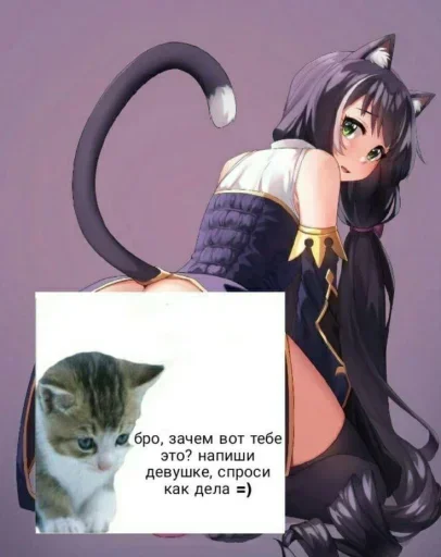 Sticker stikery_tut_a5a44_by_TgEmodziBot - 1