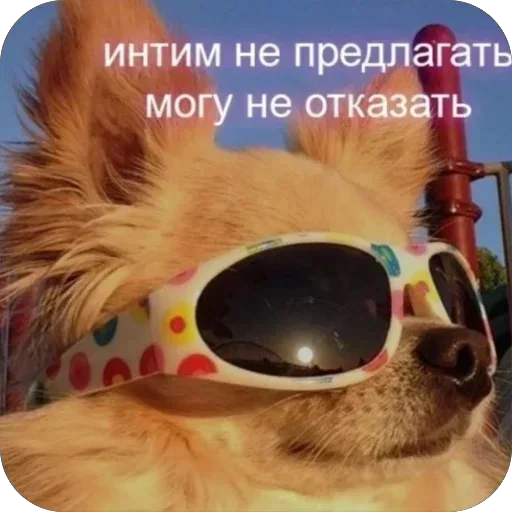 Стикер stikery_tut_f4ee1_by_TgEmodziBot - 1