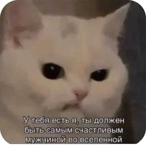 Стикер stikery_tut_f4ee1_by_TgEmodziBot - 1