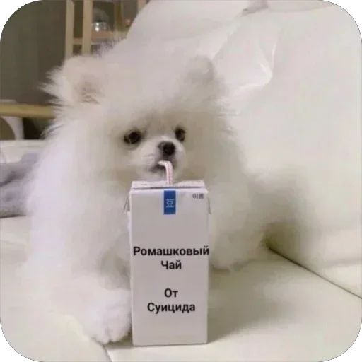 Стикер stikery_tut_f4ee1_by_TgEmodziBot - 1