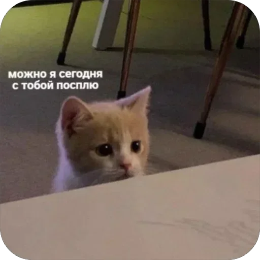 Стикер stikery_tut_f4ee1_by_TgEmodziBot - 1