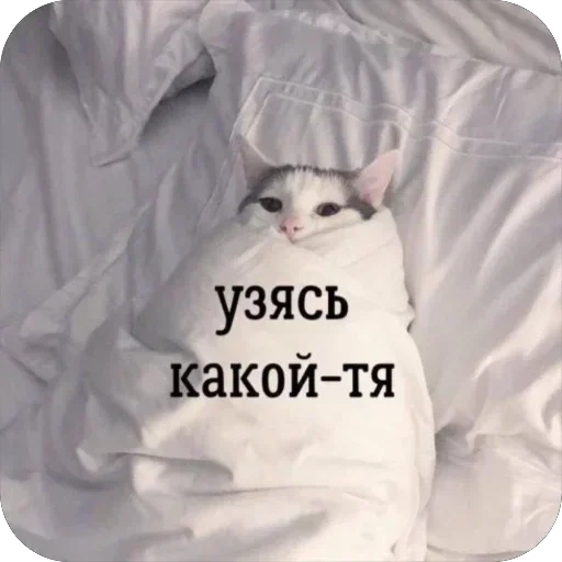 Стикер stikery_tut_f4ee1_by_TgEmodziBot - 1