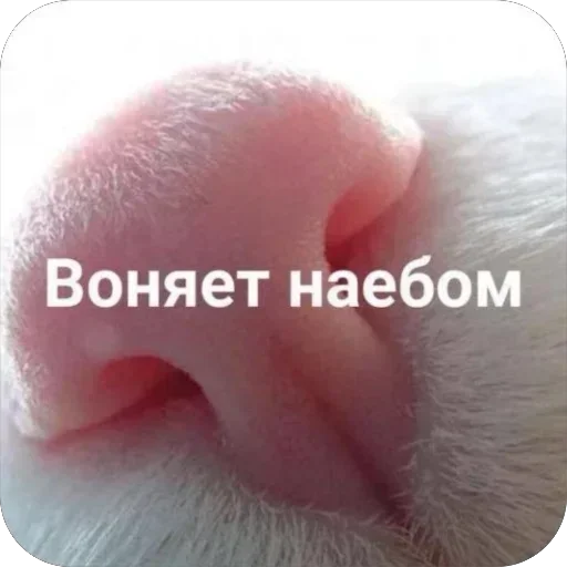 Стикер stikery_tut_f4ee1_by_TgEmodziBot - 1