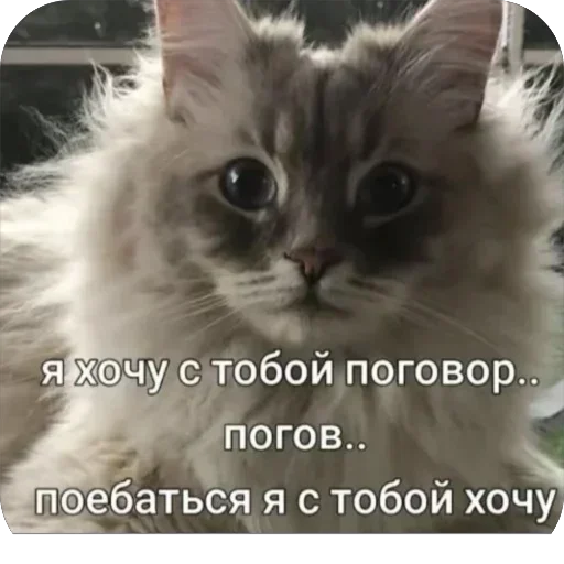 Стикер stikery_tut_f4ee1_by_TgEmodziBot - 1