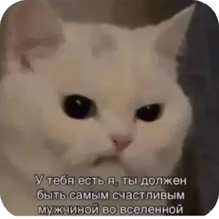 Стикер @yaziktembot <--- стикеры тут - 9