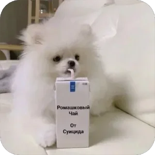 Стикер @yaziktembot <--- стикеры тут - 8