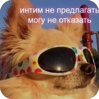 Стикер @yaziktembot <--- стикеры тут - 11