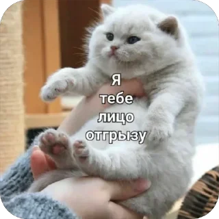 Стикер @yaziktembot <--- стикеры тут - 2