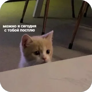 Стикер @yaziktembot <--- стикеры тут - 7