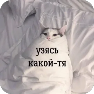 Стикер @yaziktembot <--- стикеры тут - 6